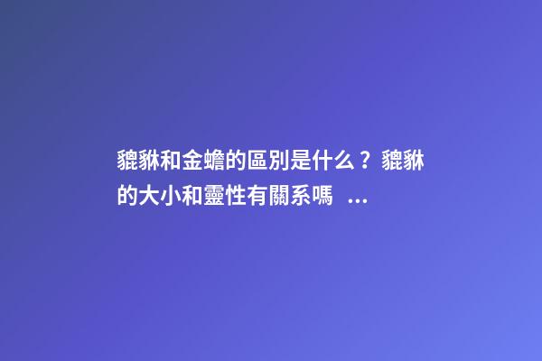 貔貅和金蟾的區別是什么？貔貅的大小和靈性有關系嗎？